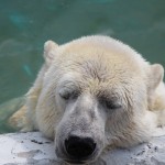 23f5f7877d1c459df5959d2d0104e01e_l