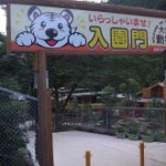 t02200165_0800060012620951046