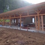 t02200165_0800060012620952829