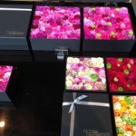 320x320_rect_20039481