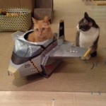 t02200295_0800107112866667440