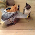 t02200295_0800107112866667441