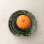 IMG_1882